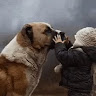 Аватара пользователя