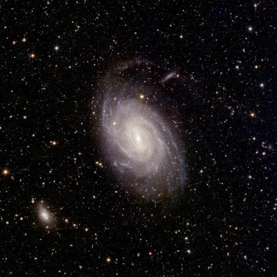 image.webp