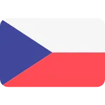 image.webp