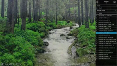 image.webp
