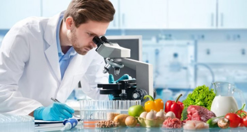 mail_ru_group_i_fnts_sozdadut_tsifrovuyu_bazu_znaniy_o_produktakh_pitaniya.jpg