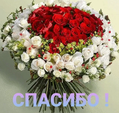 162662776123042815 (1).png