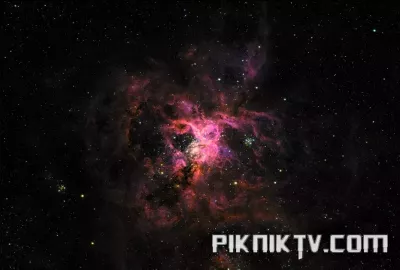 image.webp