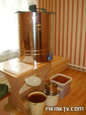 PA200246.webp