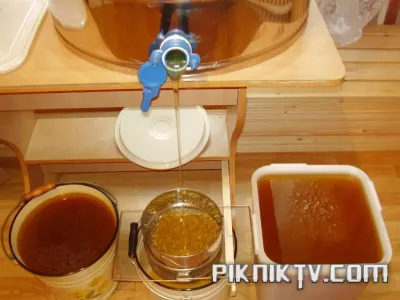 PA200245.webp