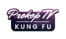 Prokop TV Kung Fu.webp