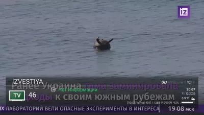 OPENBOX_37159638.webp