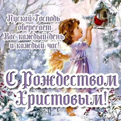 image.webp