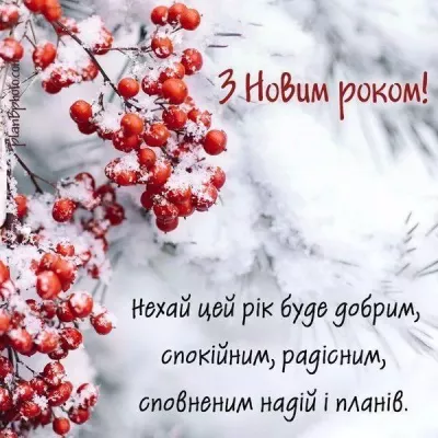 image.webp